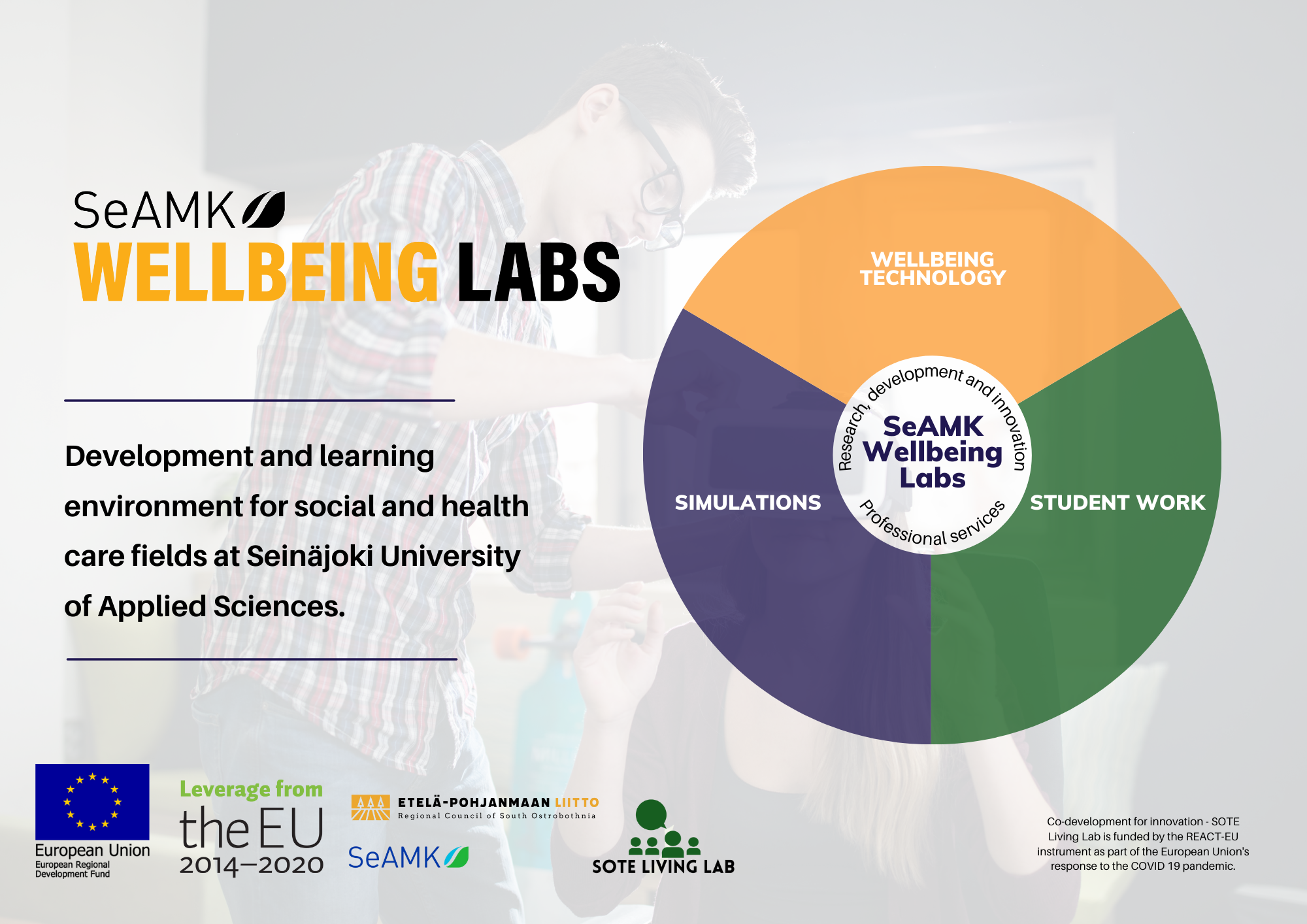 The three main bodies of SeAMK Wellbeing Labs visualized in a circle.