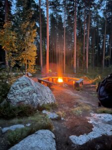 Kuvas metsästä. keskellä kuvaa nuotio,