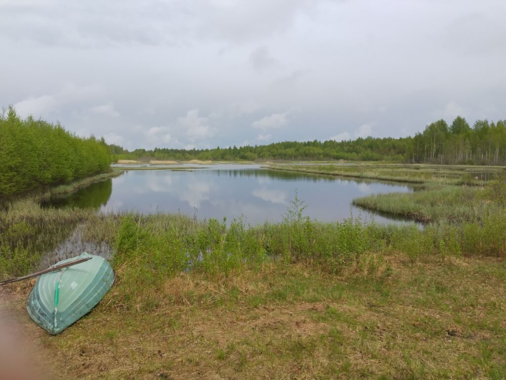 Suoalue, jossa keskellä kosteikko. Kumollaan oleva soutuvene kuvan alalaidassa.