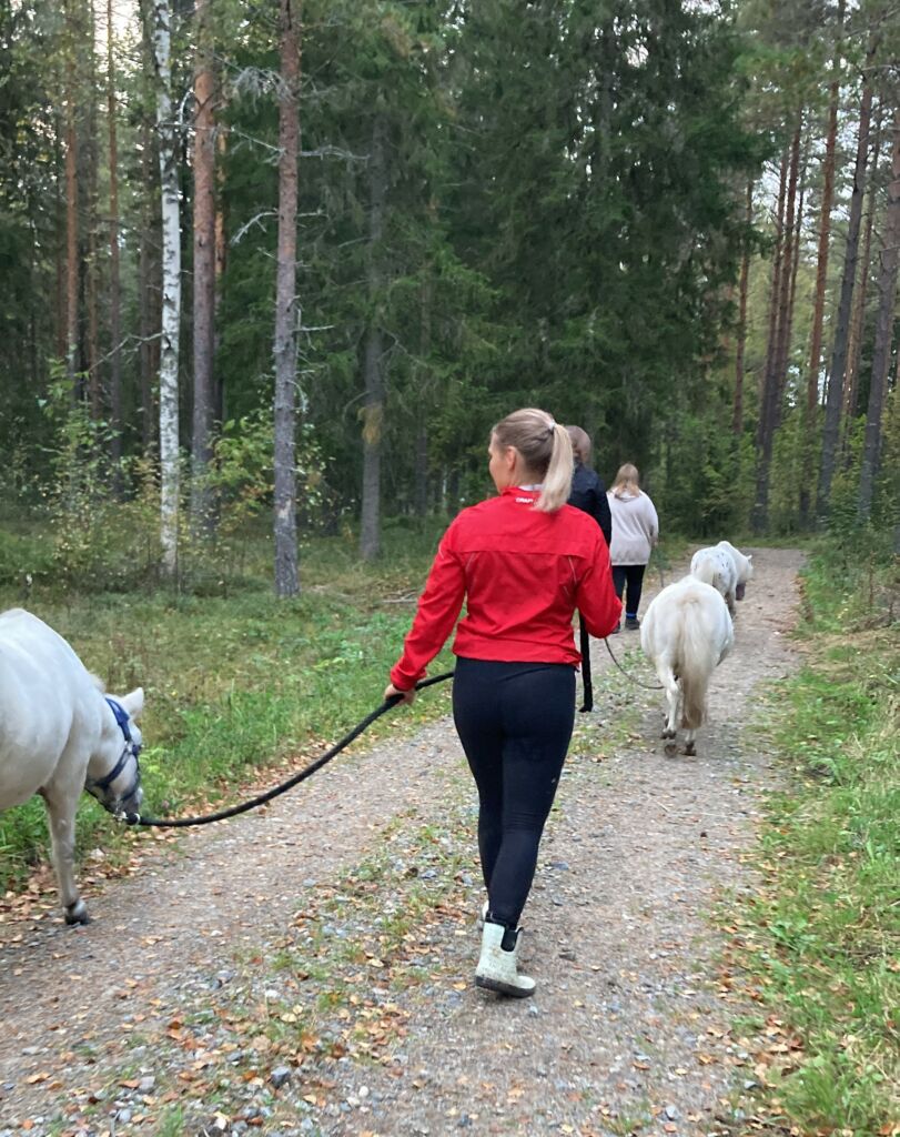 Ponitalutusta metsätiellä.