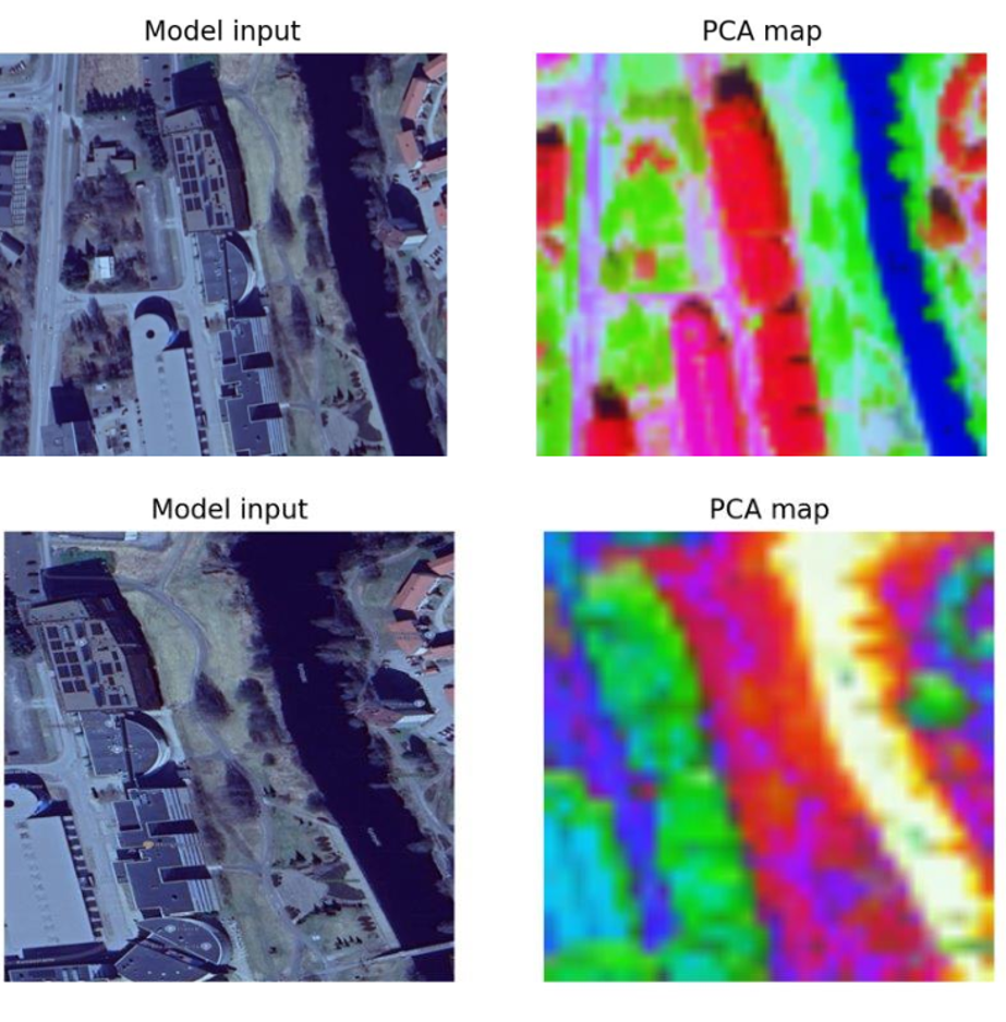Self–supervised feature / PCA maps