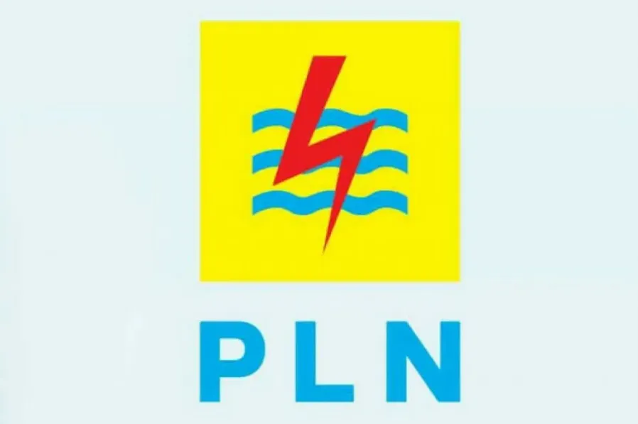 PLN Customers Get 50 Percent Discount in January and February 2025