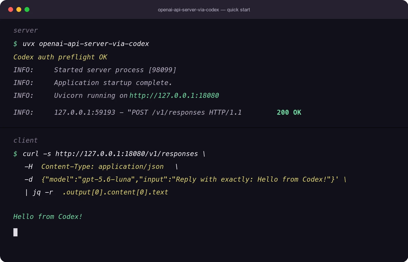 Start the server with uvx, then call the OpenAI-compatible Responses API with curl