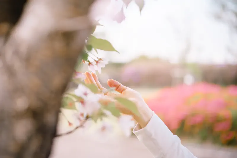 花を取らずに、指だけが枝のそばで止まった