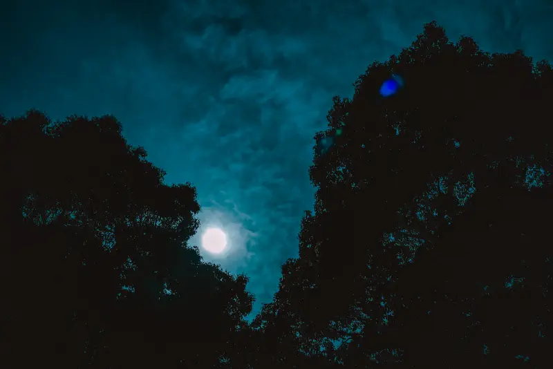 月は雲を照らさず、切れ目だけを白くした