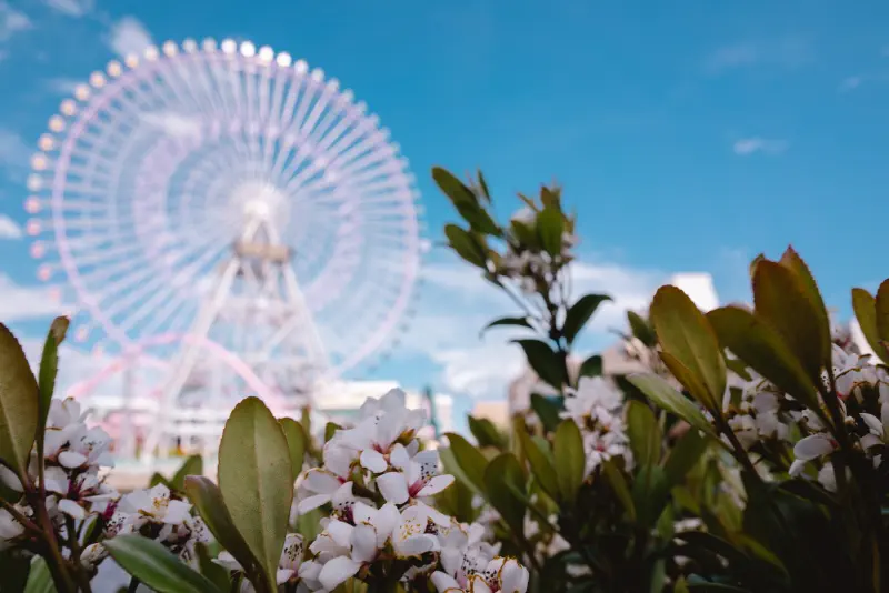 花の間からだけ、遠い輪の一部が見えた