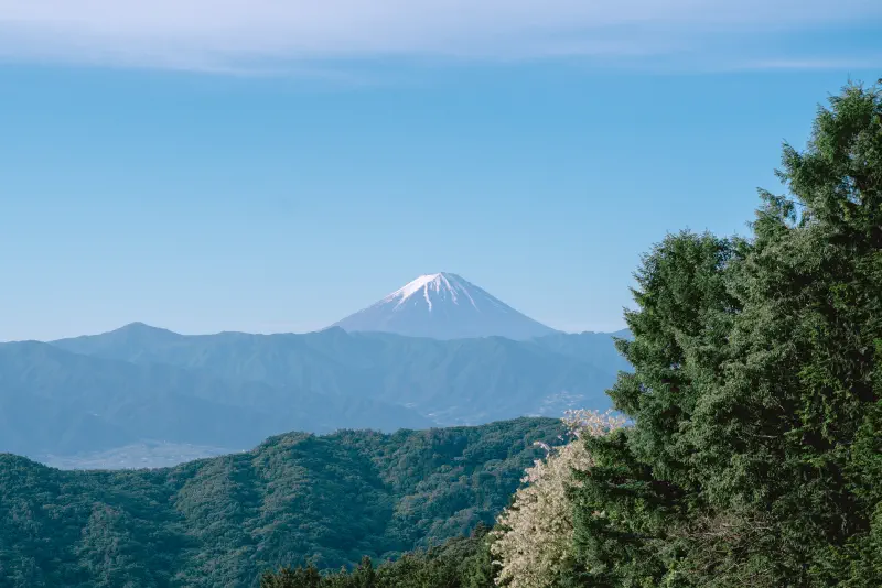 手前の稜線を越えて見える白い頂