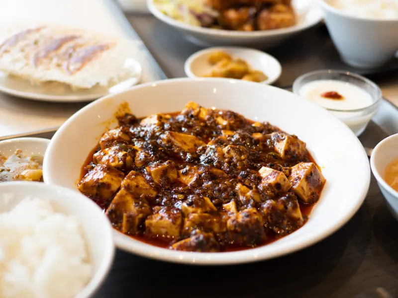 白い皿に盛られた濃い色の豆腐料理