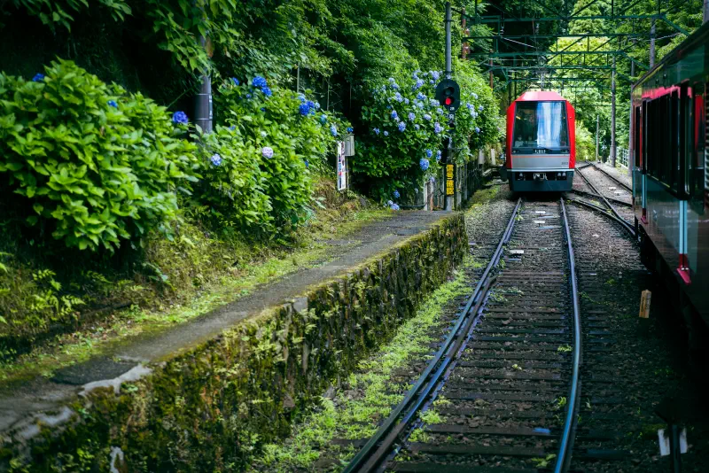 向かいの窓が過ぎるたび山の緑が戻る