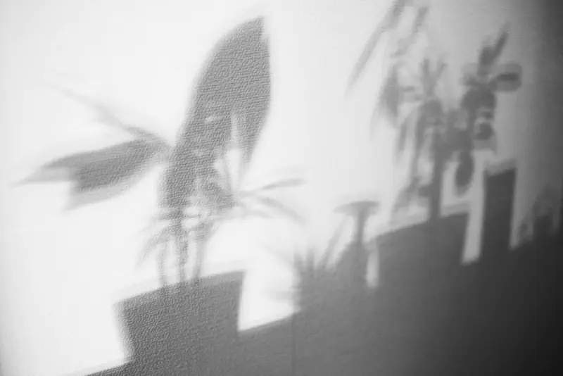 触れた壁だけが影の移動を覚えている