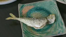 サビキ釣りを始めた