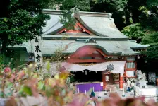 來宮神社・熱海梅園 / 2020年12月8日