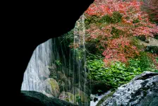 來宮神社・熱海梅園 / 2020年12月8日