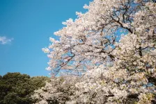 2021年3月24日