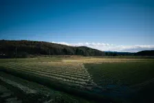 東山道那須温泉 / 2021年11月23日