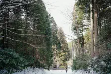 ゆっくり松島 / 2022年2月21日