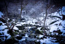 春の陽気・竜化の滝までたどり着けず / 2022年3月12日