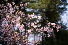 焼肉じゅうじゅう・烏ヶ森公園・千本松牧場 / 2022年3月30日