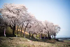 東那須野公園・蜂巣小珈琲店・五峰の湯 / 2022年4月9日