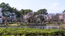 烏ケ森公園でお花見 / 2022年4月10日