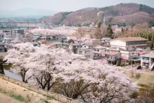 南湖公園の桜・小峰城・あずま食堂 / 2022年4月12日