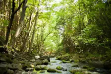 蕎麦屋山月・ヒロガーデン・喫茶タムタム / 2022年5月30日