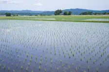 御亭山緑地公園・雲巌寺・道の駅 那須与一の郷 / 2022年6月1日