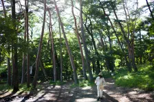 紫陽花・台湾料理 四季紅・森林浴一万歩の森 / 2022年6月12日