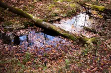 秋の大沼公園・塩原近辺 / 2022年10月31日