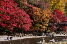 秋の大沼公園・塩原近辺 / 2022年10月31日