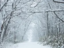 寒い雪の一日 / 2023年1月25日