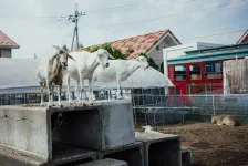 岩下の新生姜ミュージアム / 2023年9月16日