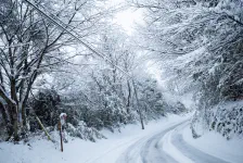 23cmの積雪 / 2024年2月5日