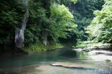 西の郷遊歩道 / 2024年6月29日