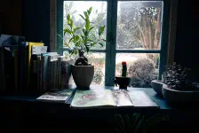 2026年1月25日 2026年1月25日