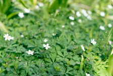 2026年4月11日 2026年4月11日