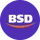 BSDE Logo