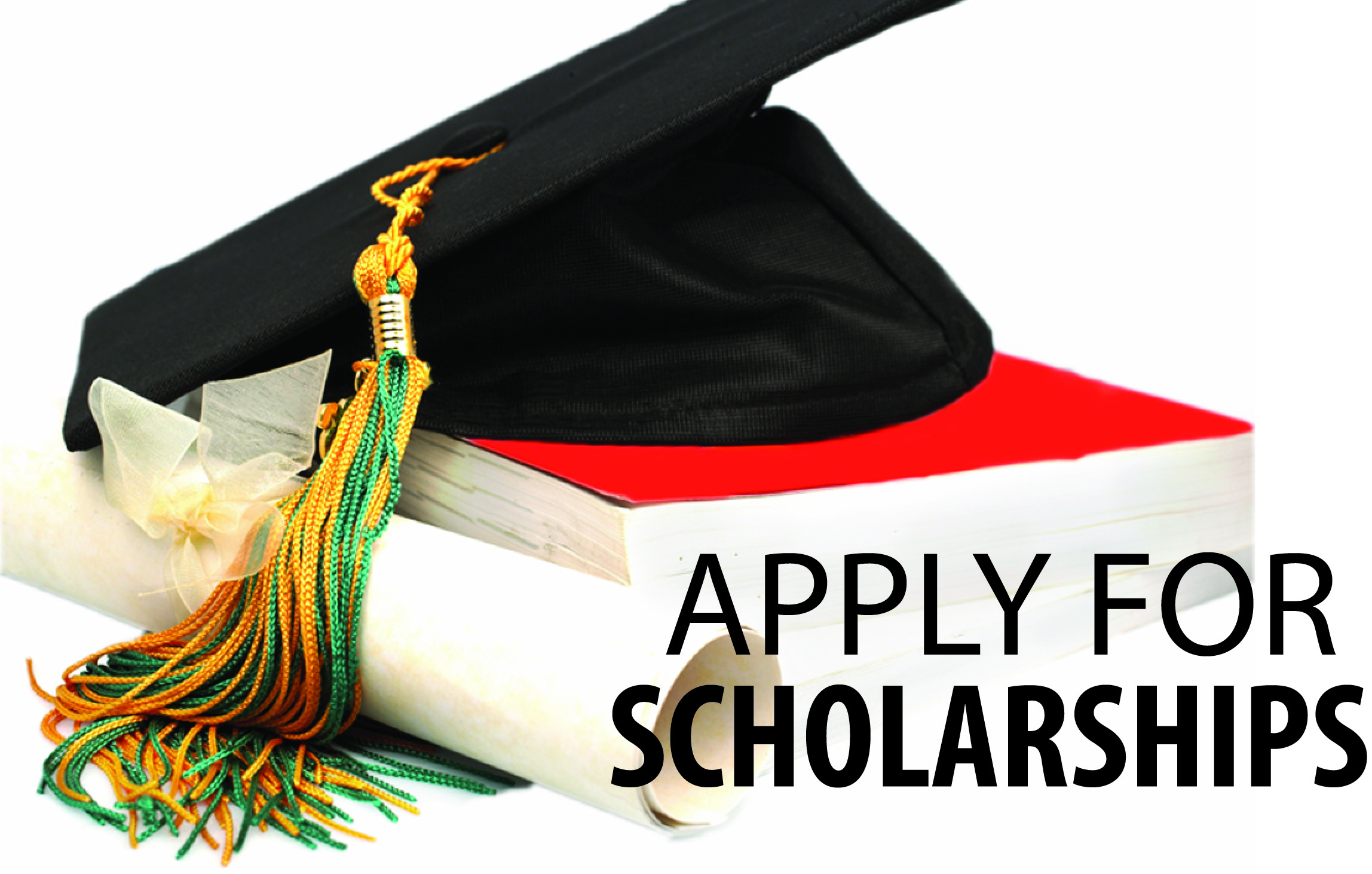 2021 Scholarship Application - SE Dallas Chamber of Com...