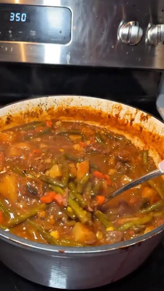 Homemade Vegetable Soup with Beef Tips
