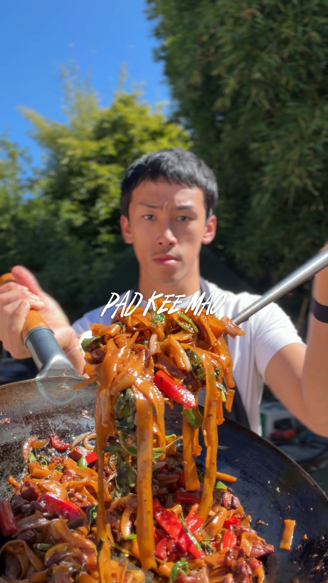 Pad Kee Mao (Drunken Noodles)
