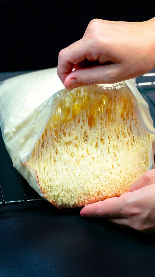 Ham and Cheese Ziploc Bag Croissants
