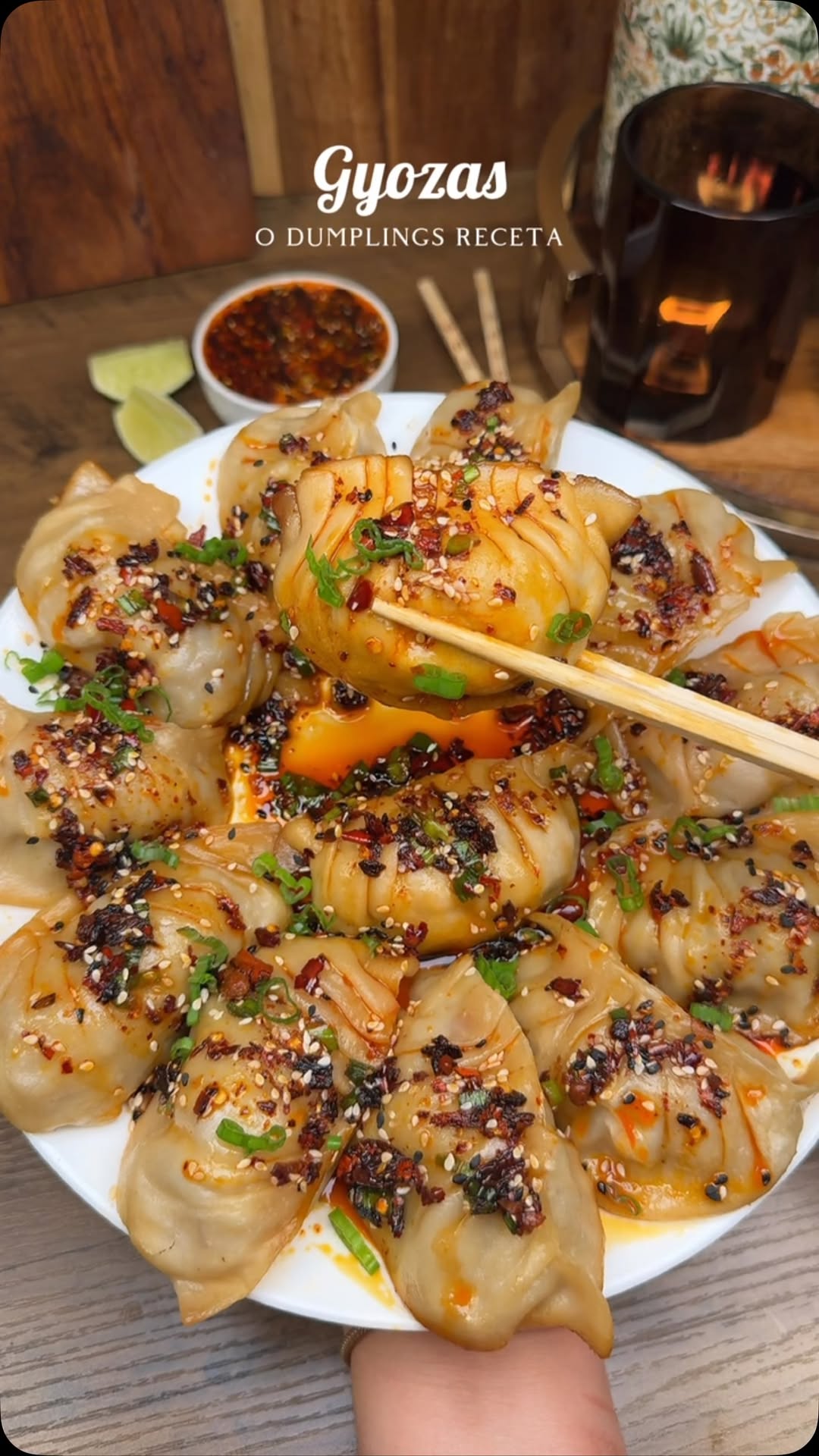 Homemade Gyozas or Dumplings
