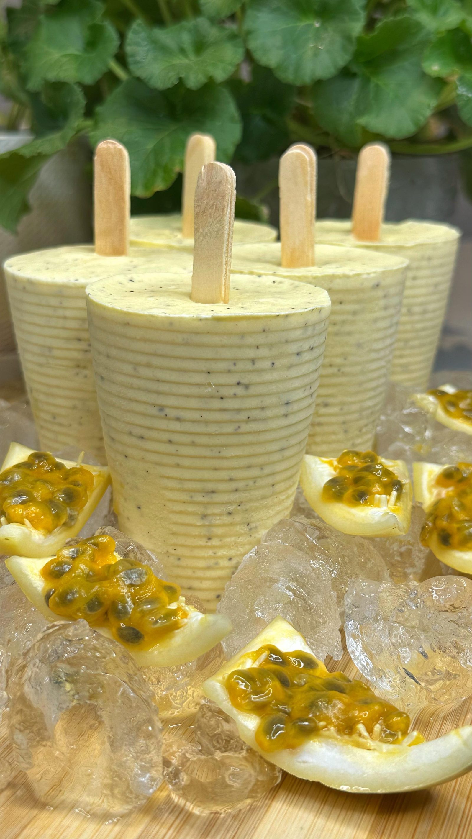 Creamy Passion Fruit Popsicles