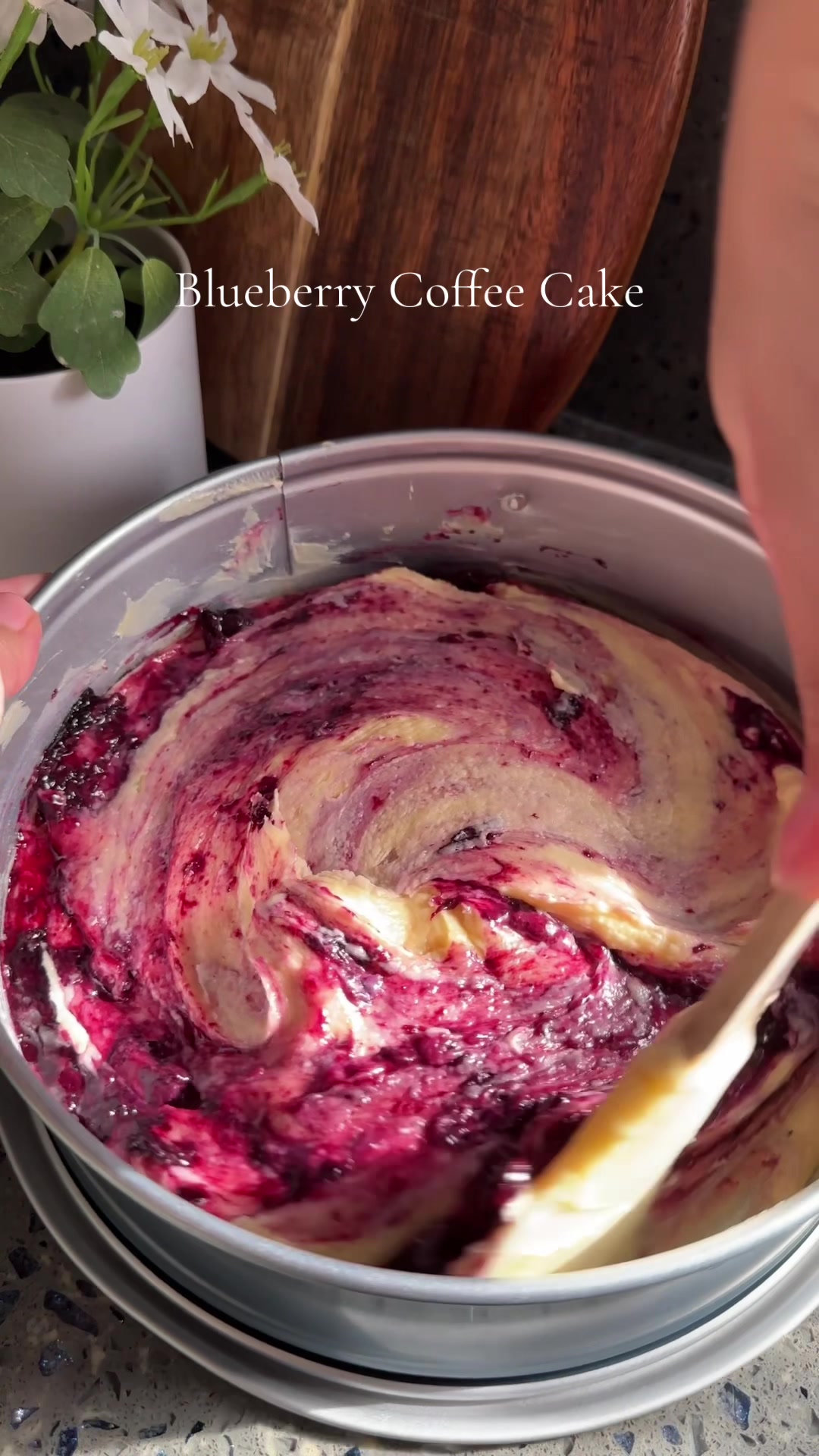 Blueberry Coffee Cake