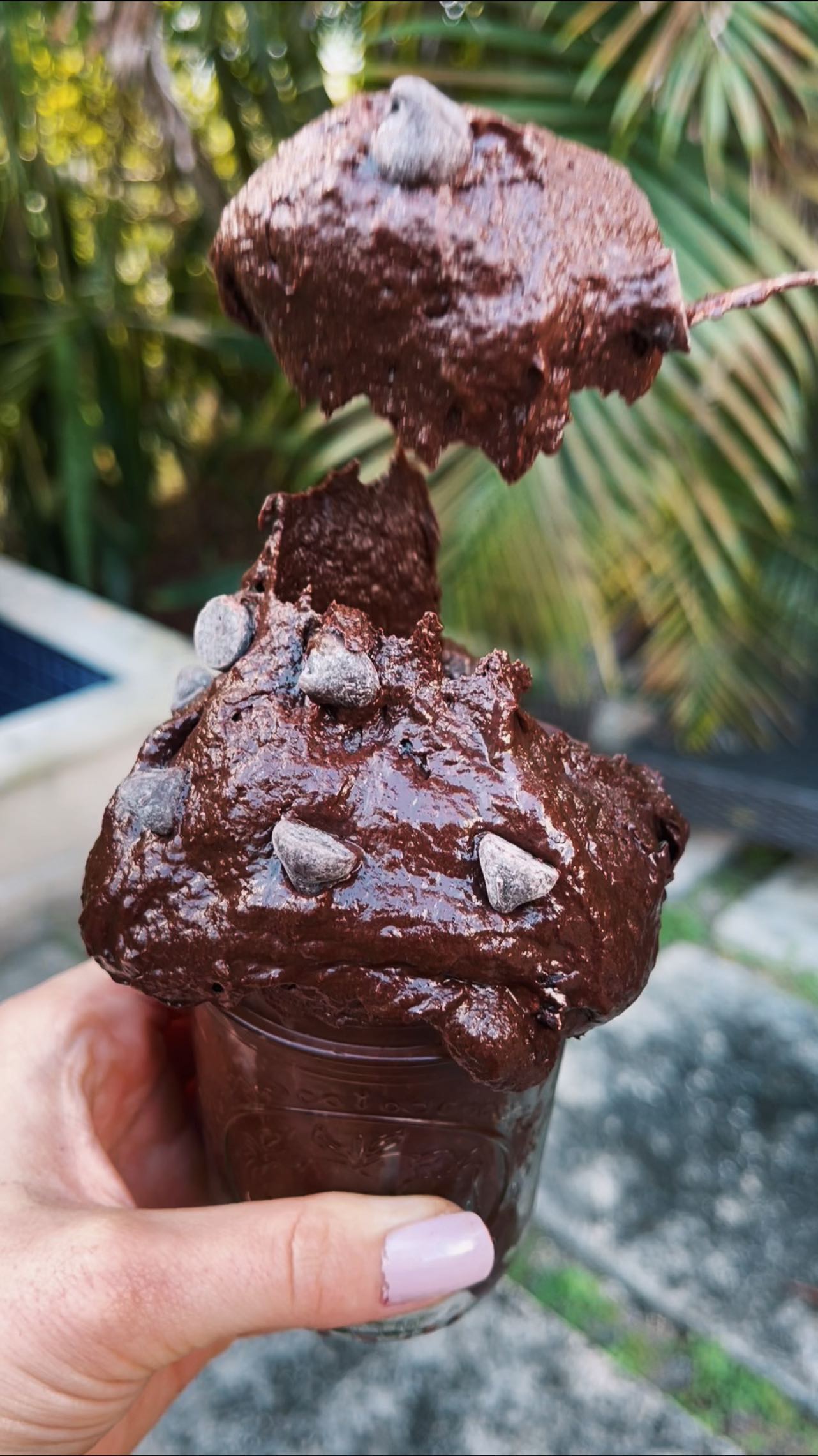 Healthy Edible Brownie Batter (Nutella Style)