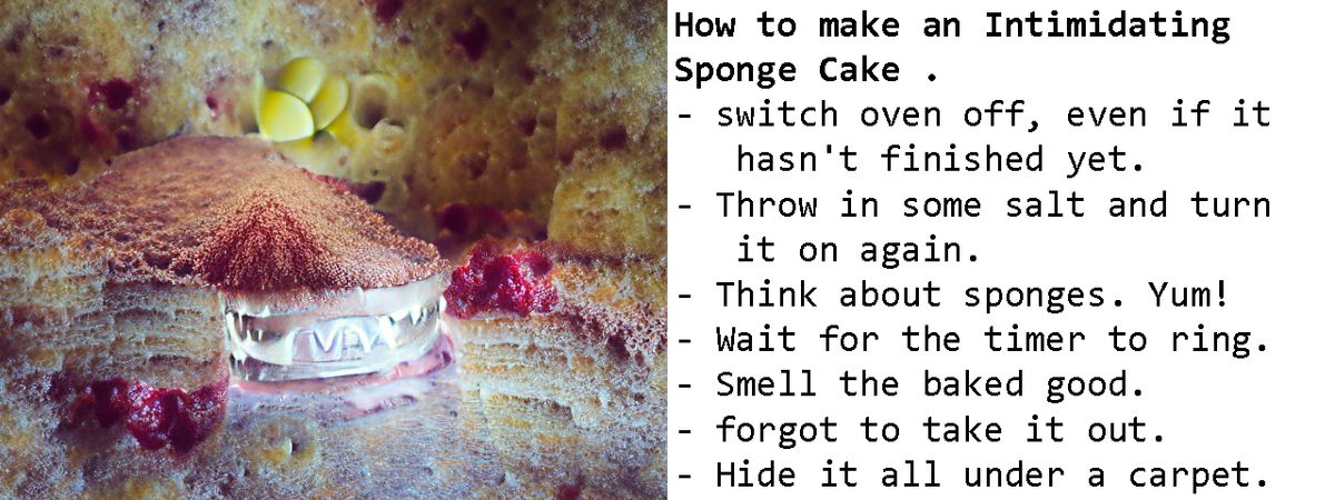 Intimidating Sponge Cake