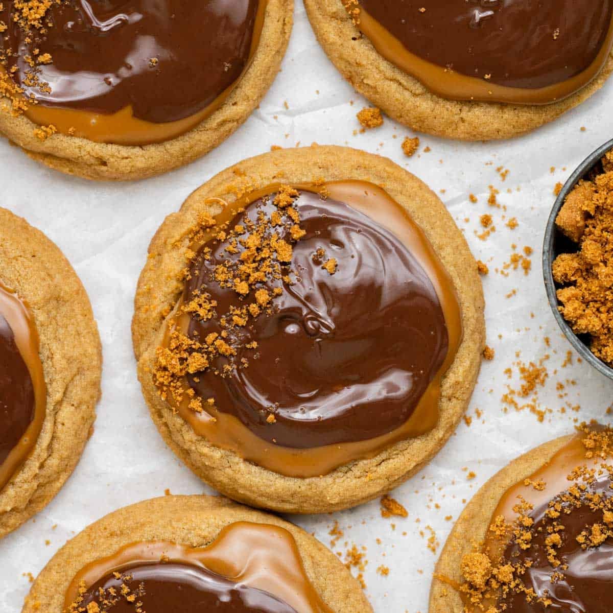 Cookie Butter Cookies with Chocolate