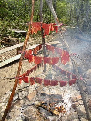 Traditional and Modern Pemmican Recipes