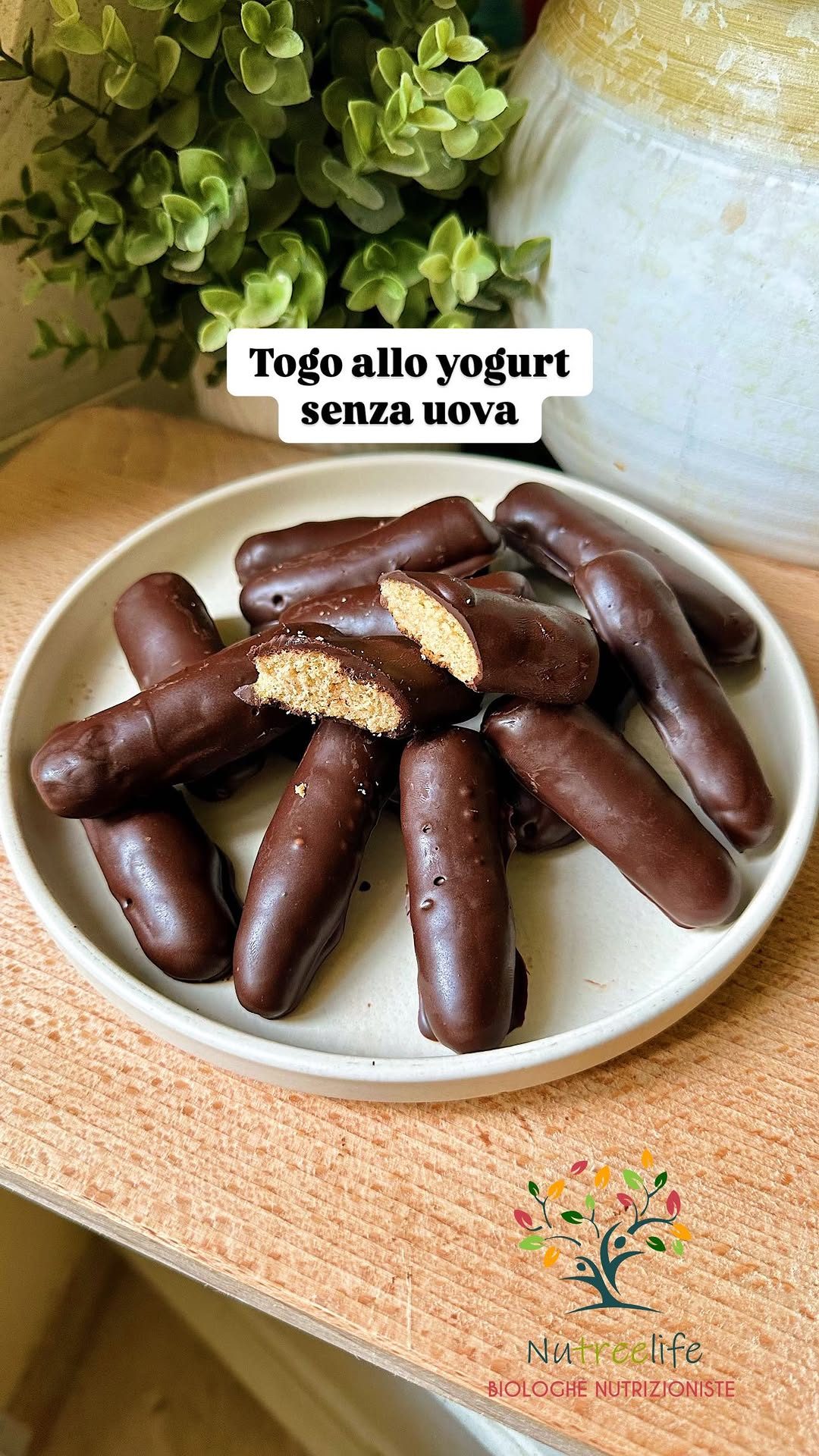 Yogurt Togo-Style Cookies