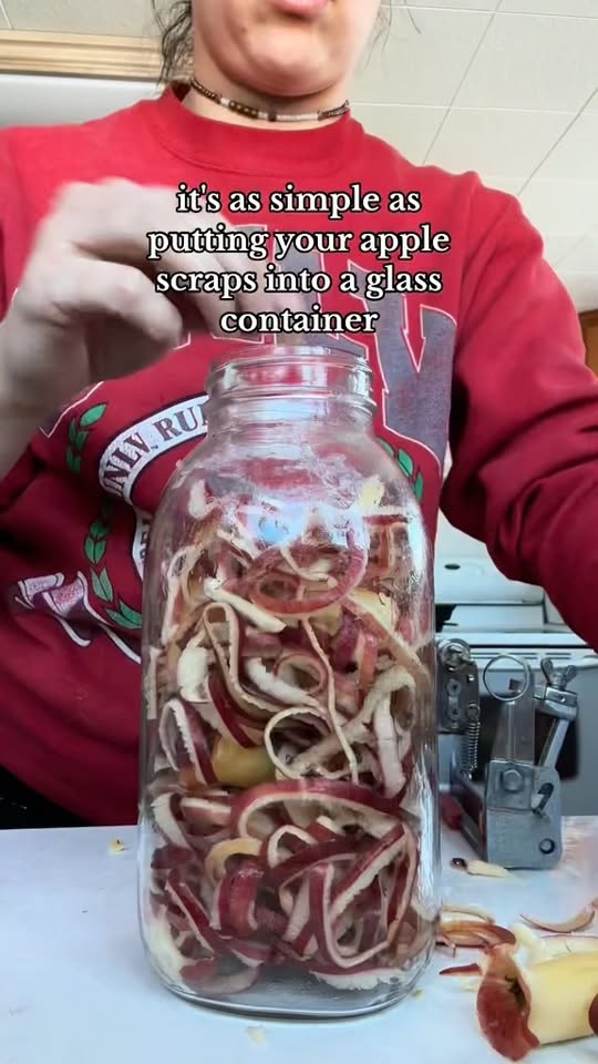 Homemade Apple Cider Vinegar